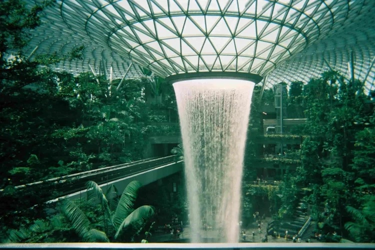 Indoor waterfall falling through a glass dome surrounded by jungle